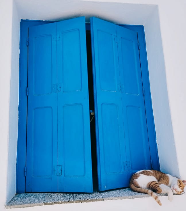 Ventanas y contraventanas azules en casa blanca cicládica con gato durmiendo al sol en Mykonos