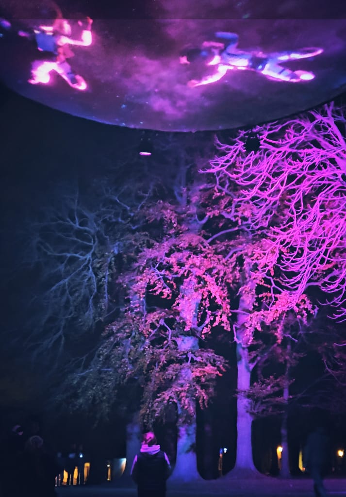 Instalación de luz morada sobre árboles y proyecciones en el cielo como parte del Machina Lumina.