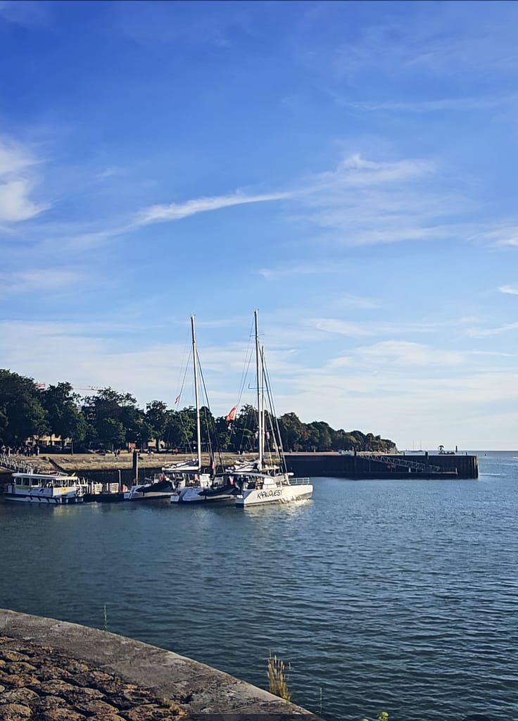 catmarans docked at La Rochelle