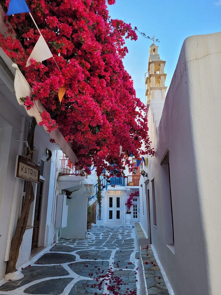 Callejón blanco de Chora Mykonos con buganvilla fucsia y arquitectura cicládica tradicionalPerderse por Chora y encontrarte con una buganvilla así… Mykonos en estado puro.