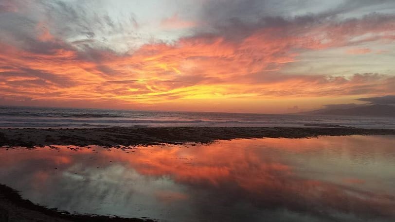 349702504_1566353970559023_7829840927095762696_n